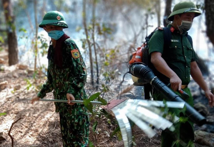 Bộ đội Biên phòng tỉnh Nghệ An tham gia chữa cháy rừng thông